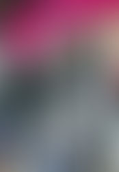 Feria de San Luis Potosí