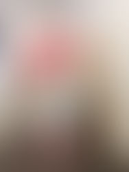 FraVEO en capacitación constante