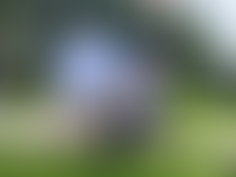 GloboViajerobyFraveo presente en el Workshop del representante de Dubái.