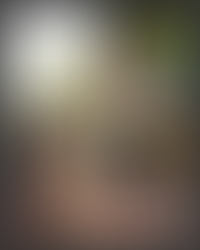 SumandoViajesByFraveo participó en la presentación organizada por EMETRAVEL