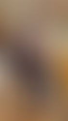 Sol y Luna Travel by FraVEO presente en el desayuno presentación de Assist Card