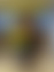 Presentación Volaris