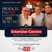 Presencia de FraVEO en un evento del Caribe Mexicano