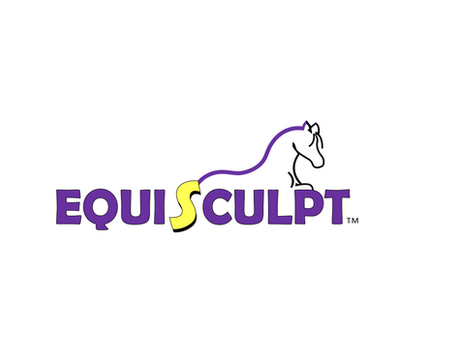 EquiSculpt 
