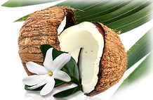 Massage Bien-être Relaxation & Praticiennes de Santé Naturelle