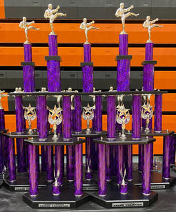 Trophies.jpeg
