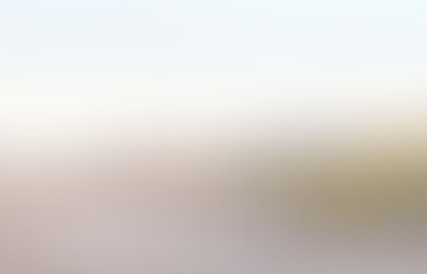 APC SWEDEN NEWSLETTER DEC 2025