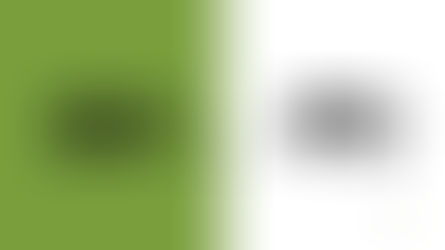 Integrating SEO with PPC Campaigns