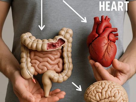 Crónicas de Marc, Entrada LXVI, Serie Perspectivas, capítulo 4