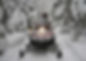 Equipment Rentals
