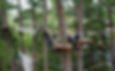 Haliburton Forest