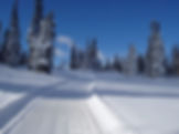 Snowmobile Trails
