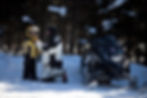 Snow Mobile