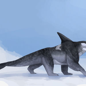 Illustration portfolio