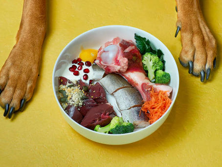 The Ultimate Guide to Canine Nutrition: Best Foods for Dogs and Foods to Avoid
