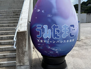 大分旅行、最終日は「うみたまご」へ！🐬✨