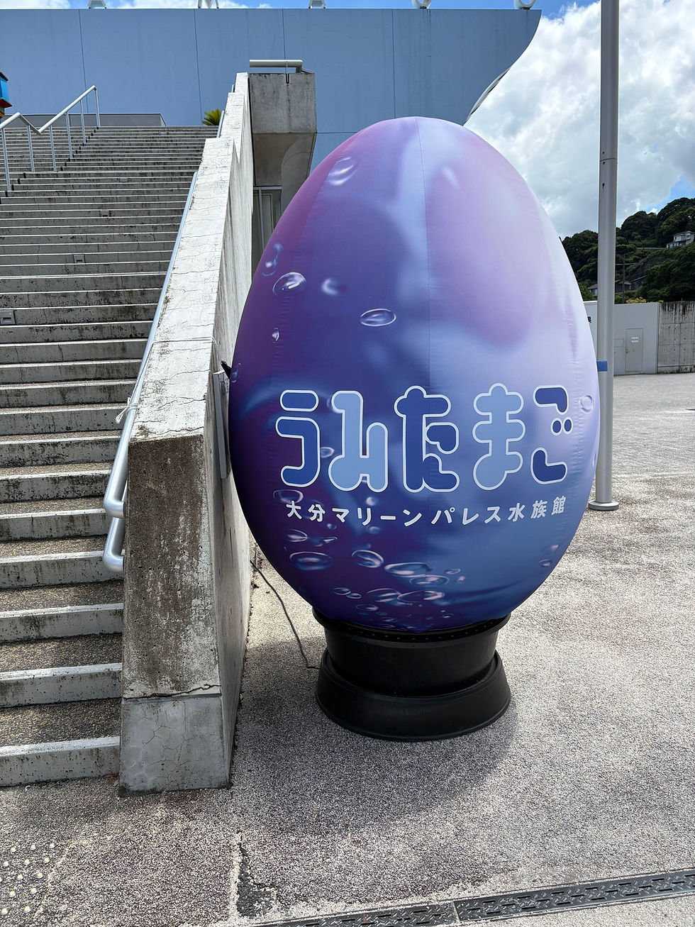 大分旅行、最終日は「うみたまご」へ！🐬✨