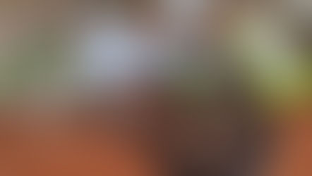 特別養護老人ホームなの花さま、第2弾です🌼