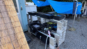 🐟癒しのスポットがさらに進化しました✨