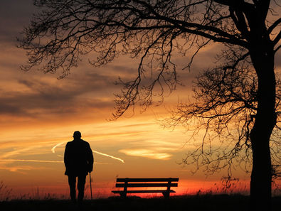 Embracing Adventure: Overcoming Aging and Loneliness Through Connection