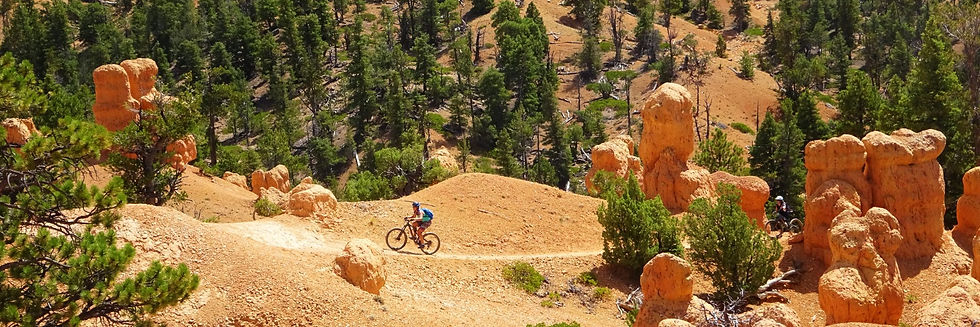 MOUNTAIN BIKE OR HIKE