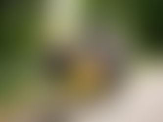 Here’s the Only Way You Can Stop Climate Change