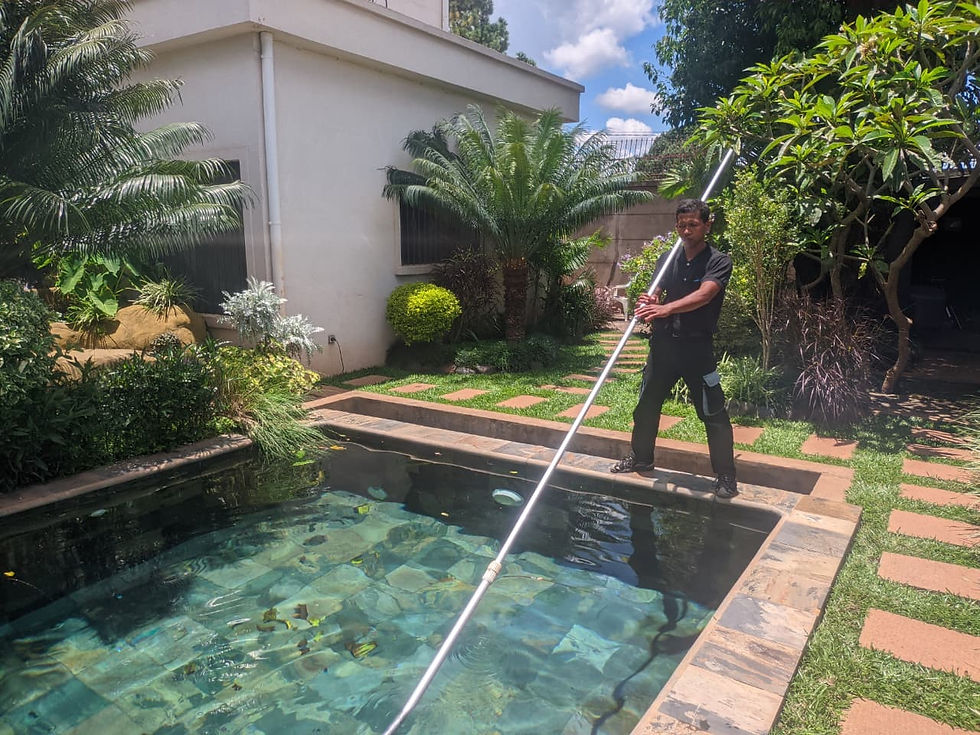 Vue en plongée d'une piscine avec système de filtration visible