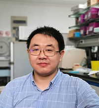 Yanxin Xu.jpg