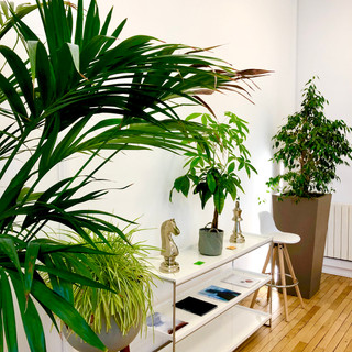 Décoration salle Graslin.jpg