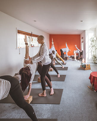 Beginners Yoga North Shore