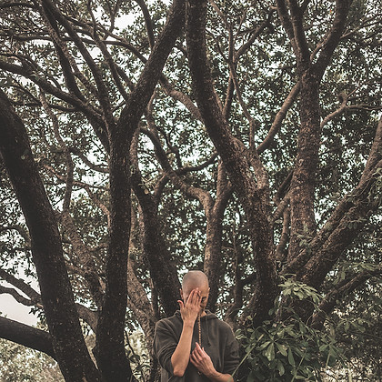 Meditation in Nature