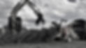 arboriculture hawkes bay