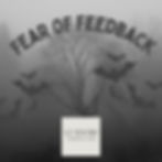Fear of Feedback