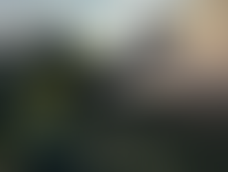 Einsatz Nr. 2 B2 Feuer am Forstschlepper 🔥