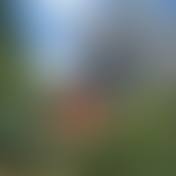 Einsatz Nr. 24 - B2 brennt Gartenhaus 🔥