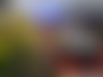 Einsatz Nr. 33 - B3Y -> B4Y 🔥