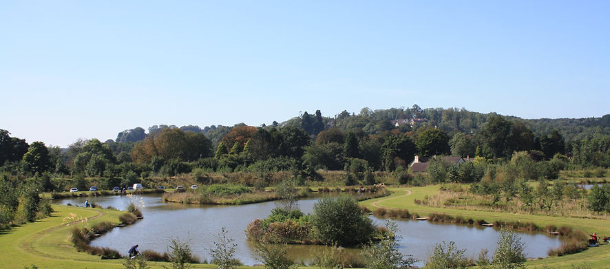 Bridge Pond