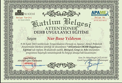 WhatsApp Image 2026-03-02 at 21.52.57.jpeg