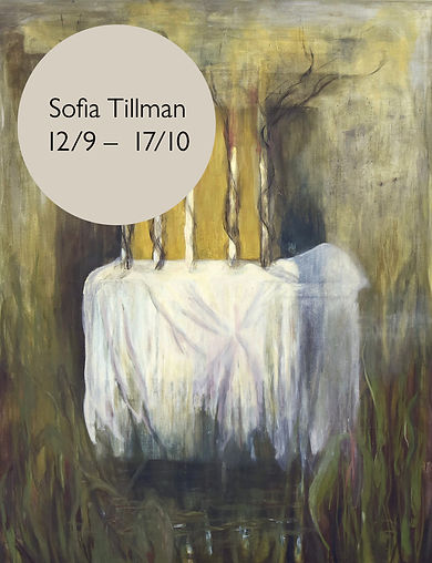 Sofia_Tillman_Boy.jpg
