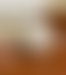 Blogging for the Library: 3/8 9am-5pm