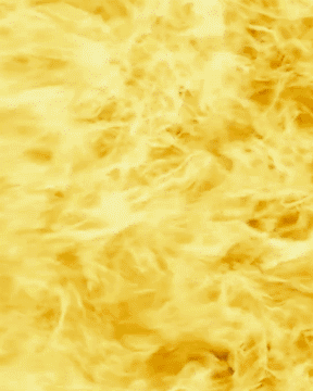 ADHEAD 420 EVENT FOR WIX-Animated Image (Large).gif