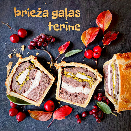 BRIEŽA GAĻAS TERĪNE