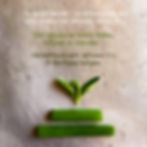 Brieža gulašzupa | Padomi