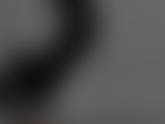 The Top 5 Mistakes Small businesses need to Avoid in their Paid Search Strategy