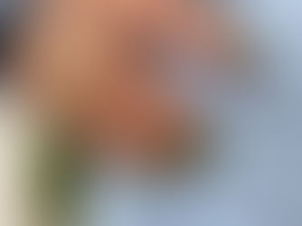 Maximizing Conversion Rates: Harnessing the Power of Remarketing in Paid Search