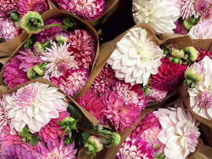 The Power of Social Media for Your Business