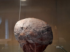 20230914_141001.jpg