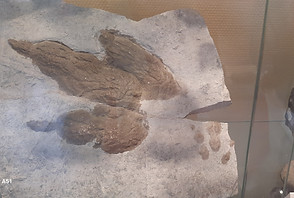 20230914_140808.jpg