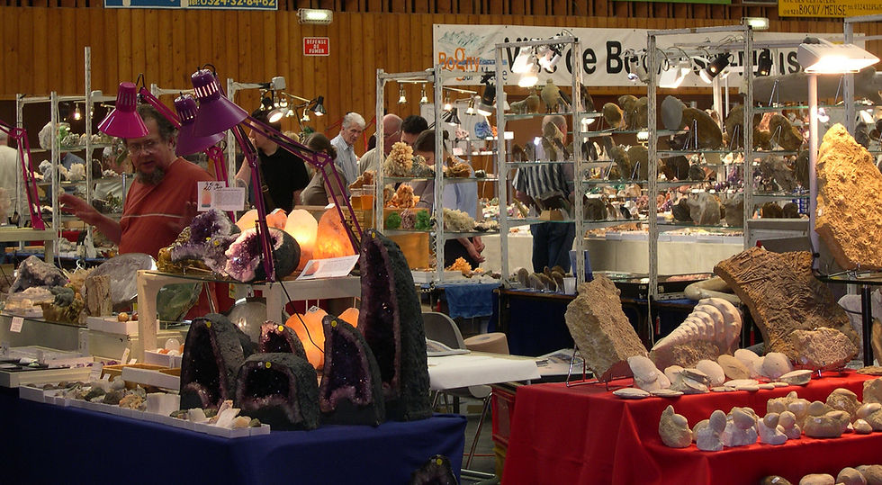 BOURSE EXPOSTION INTERNATIONALE DES MINÉRAUX ET FOSSILES