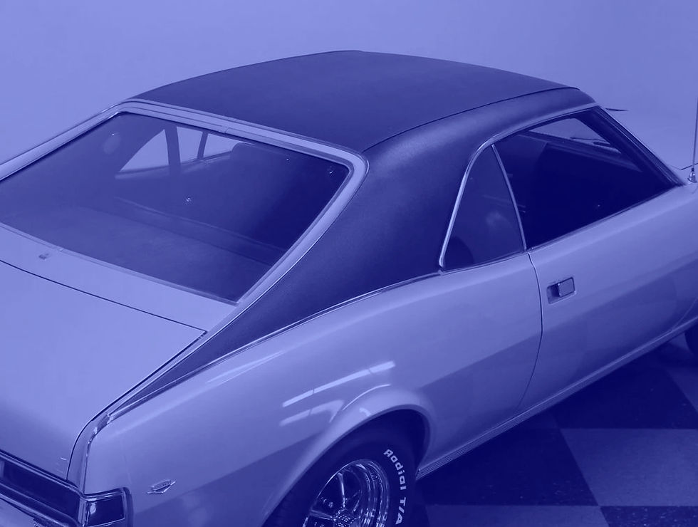 vinyl top.webp